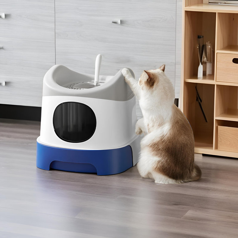 Wayfair kitty litter box 2025
